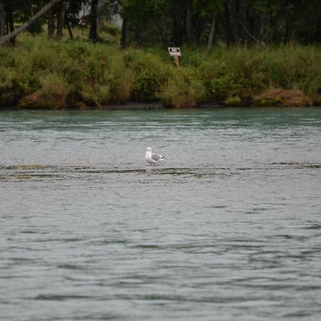 Salmon Catcher Lodge Кенай Екстер'єр фото