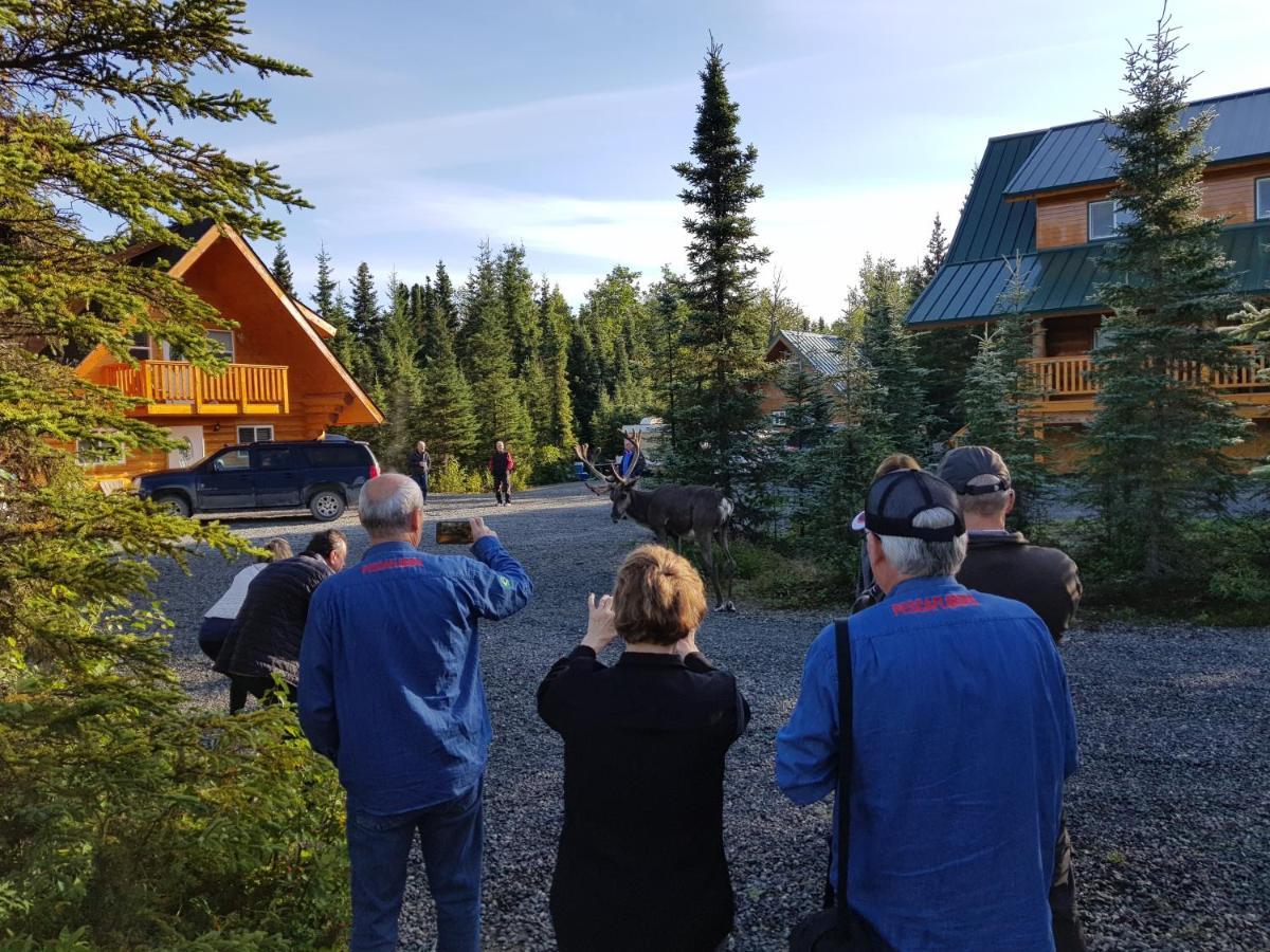 Salmon Catcher Lodge Кенай Екстер'єр фото